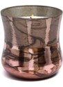 Sójová sviečka Paddywax Cypress & Fir 255g