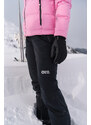 Nordblanc Čierne dámske lyžiarske nohavice BLIZZARD