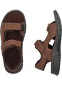 Pánske sandále RIEKER 26761-27 hnedá S4