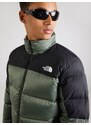 THE NORTH FACE Outdoorová bunda 'DIABLO' farby bahna / čierna / biela