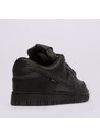 Nike Dunk Low Gtx Muži Obuv Tenisky HQ2053-001
