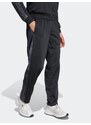 ADIDAS SPORTSWEAR Športové nohavice grafitová / čierna